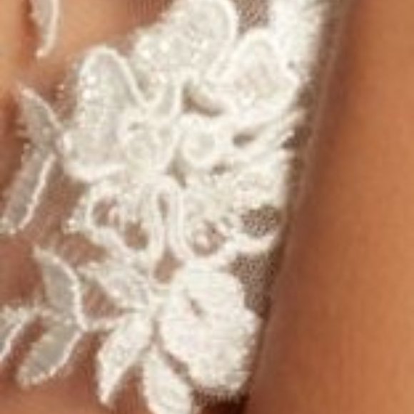 Ivory Embroidered Beaded Floral Scroll Cathedral Veil NWT - Picture 3 of 9